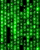 387037_2.gif
