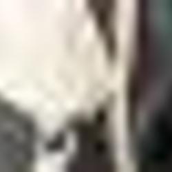 376071_big.jpg