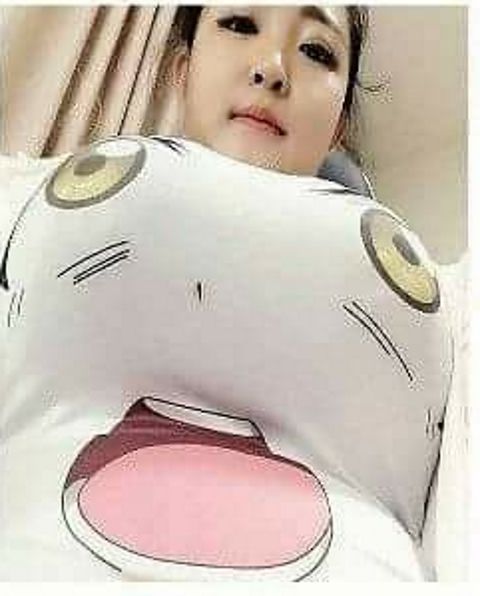 RIS.jpg