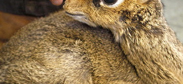 b65b5b5.jpg