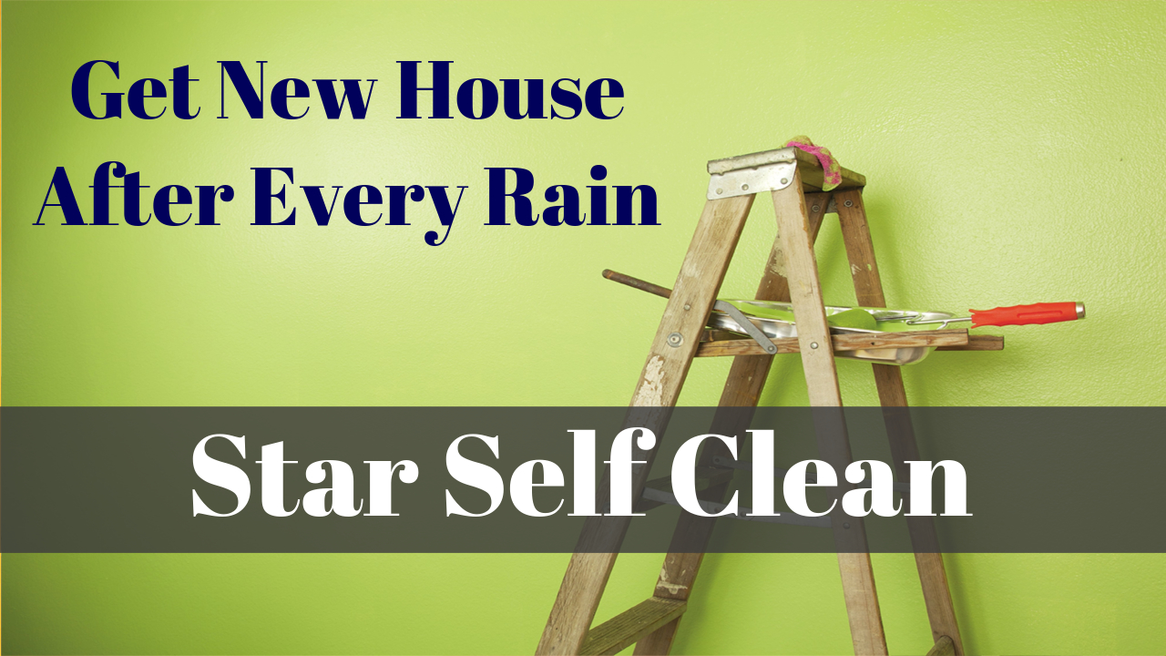 StarSelfClean.jpg