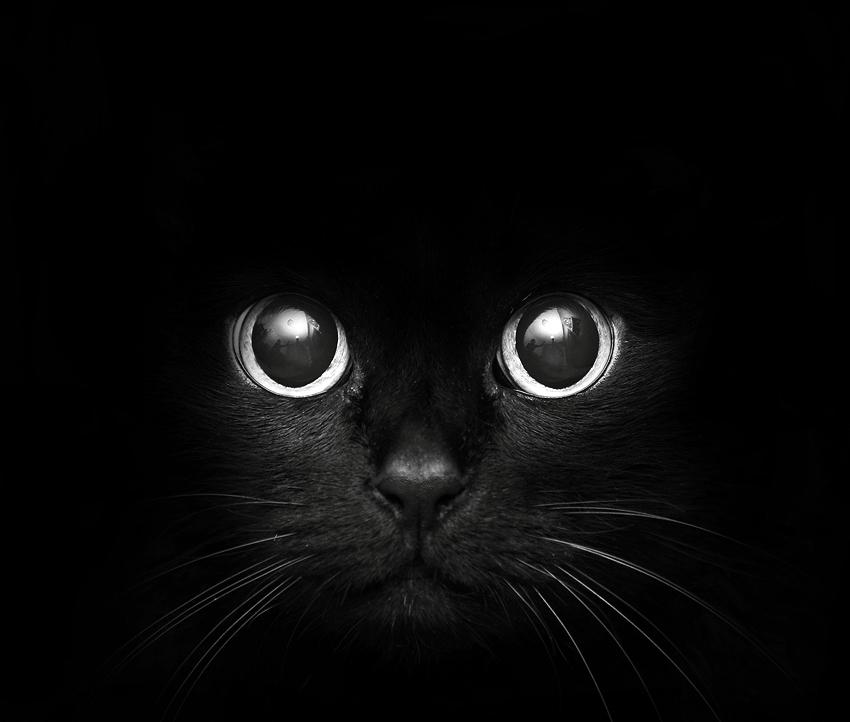 47082643-dark-pics.jpg