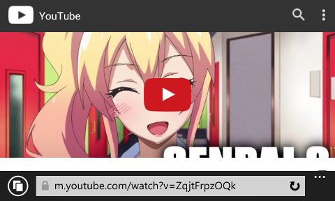 RIS.jpg