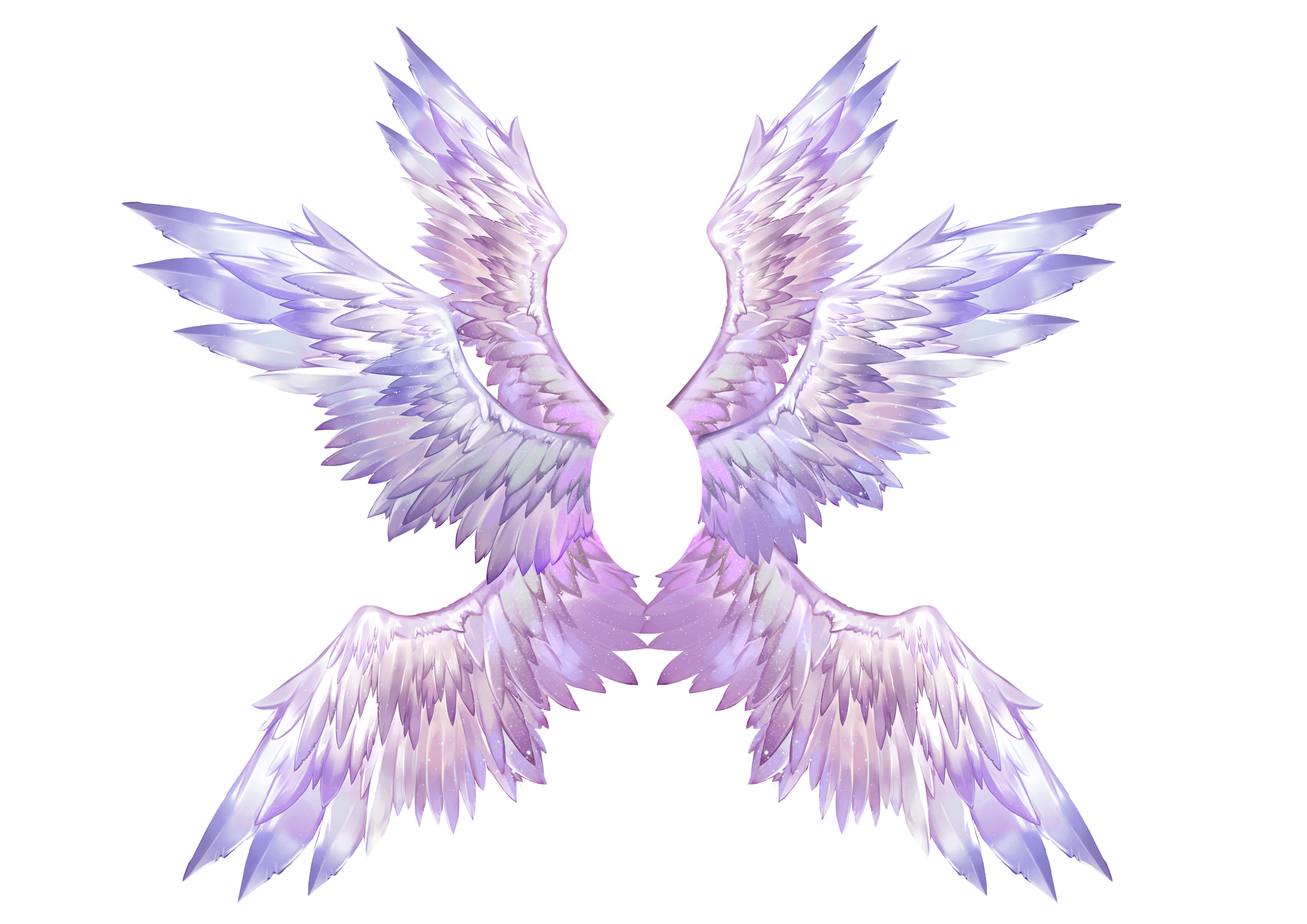 wingscolor.png