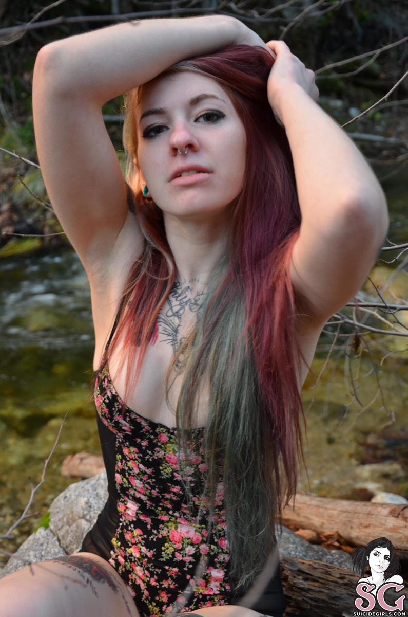 sen-twigs-09.jpg