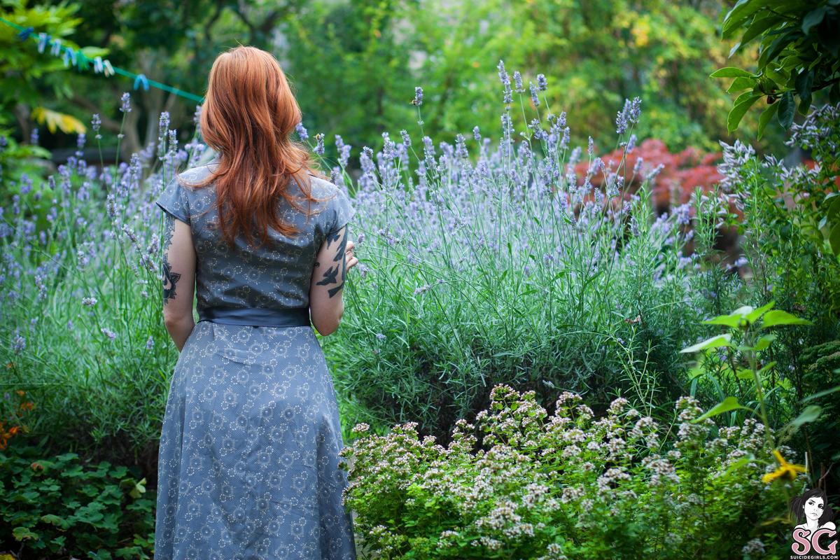 annalee-lavender-01.jpg