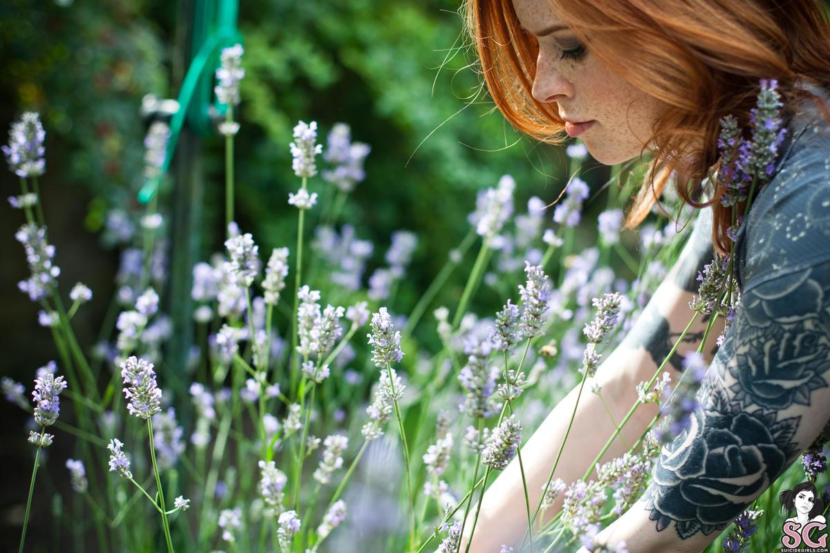 annalee-lavender-07.jpg