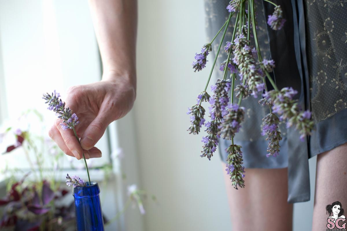 annalee-lavender-11.jpg