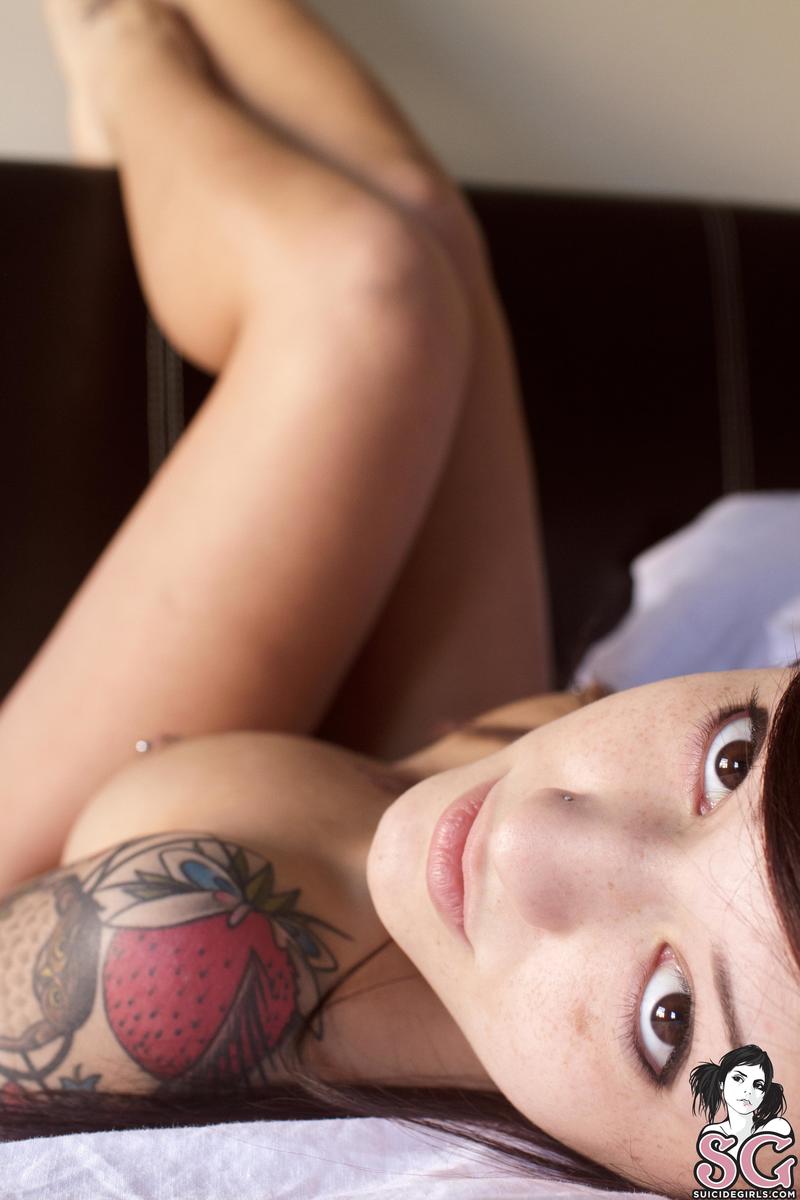 brewin-spydreams-23.jpg