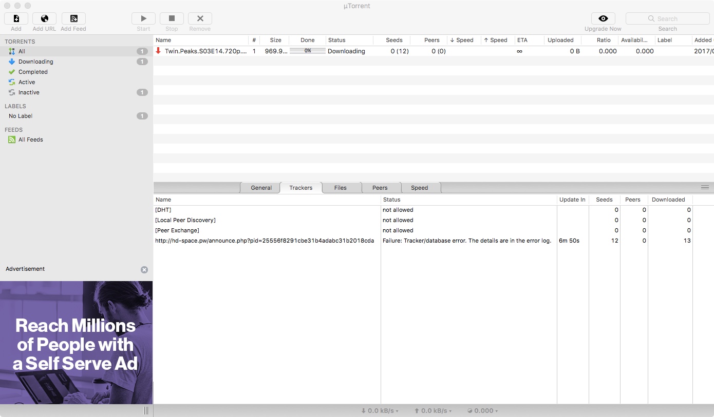 Screen - new