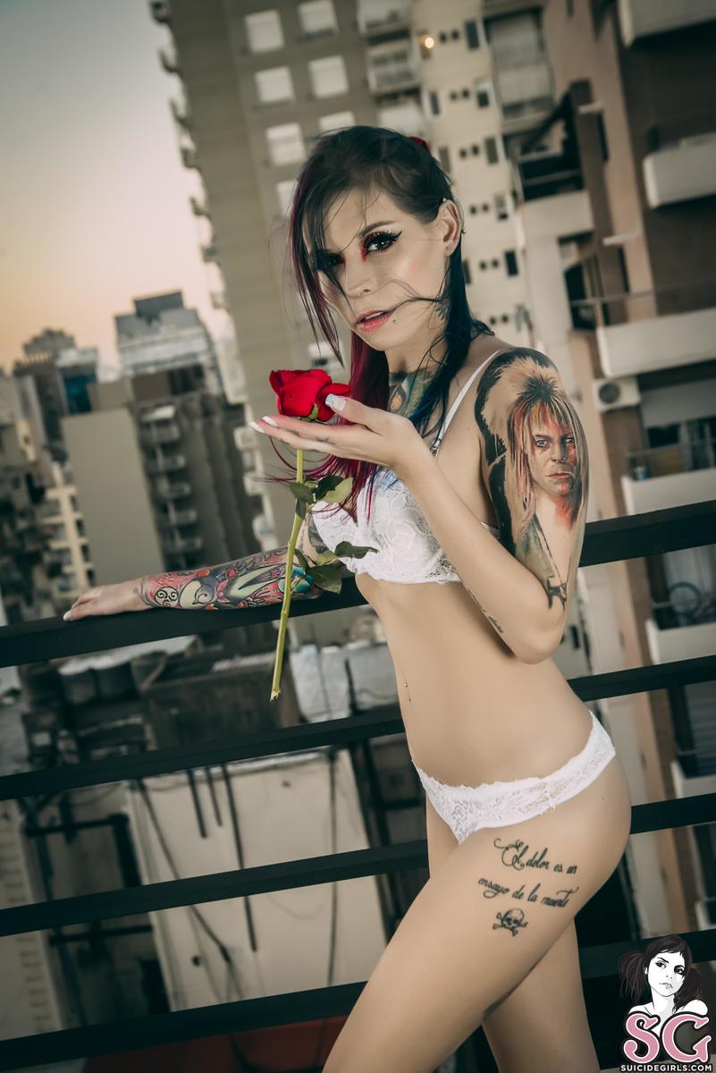 fatimarainbows-americanbeauty-01.jpg