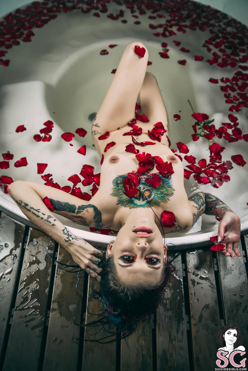 fatimarainbows-americanbeauty-37.jpg