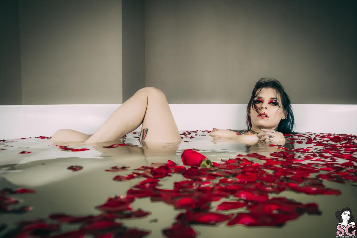 fatimarainbows-americanbeauty-39.jpg