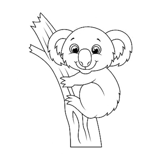 2_koala.jpg