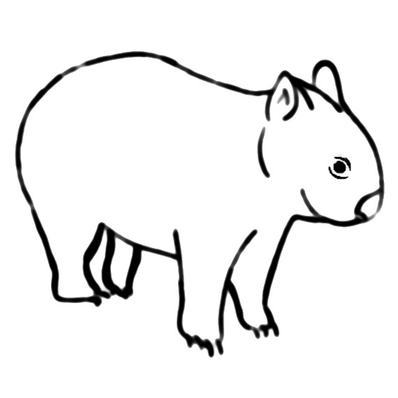 5_wombat.jpg
