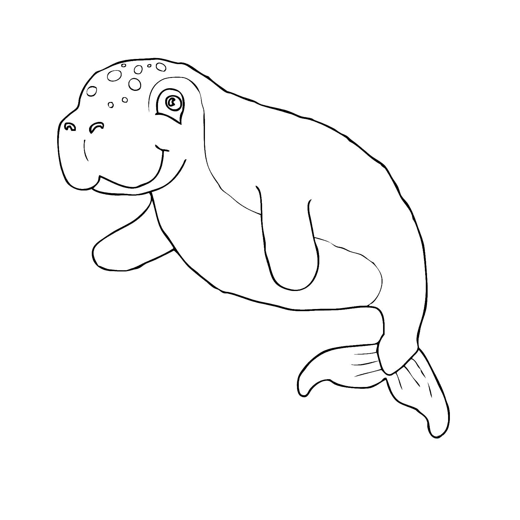 9_dugongo.jpg