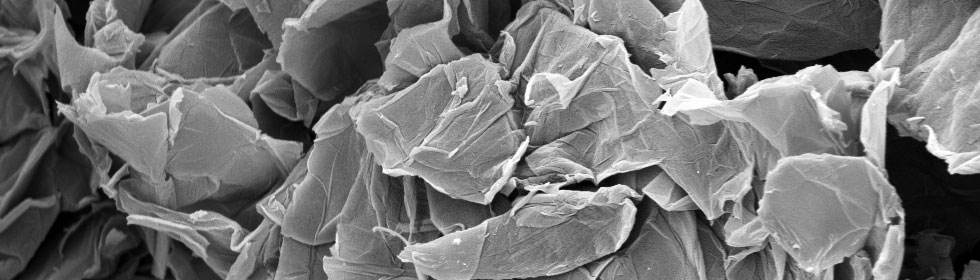 Graphene oxide powder