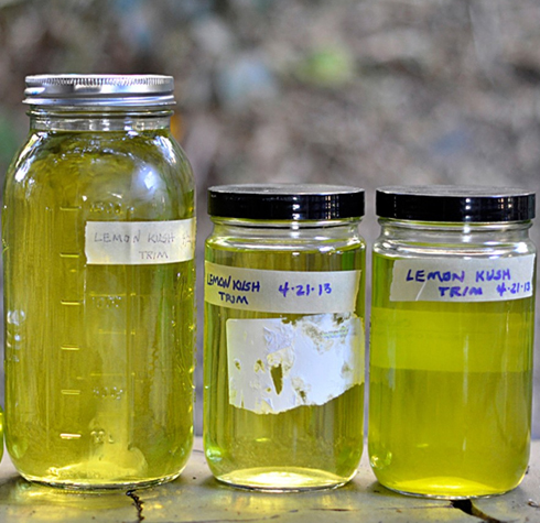 Endoca Hemp Oil
