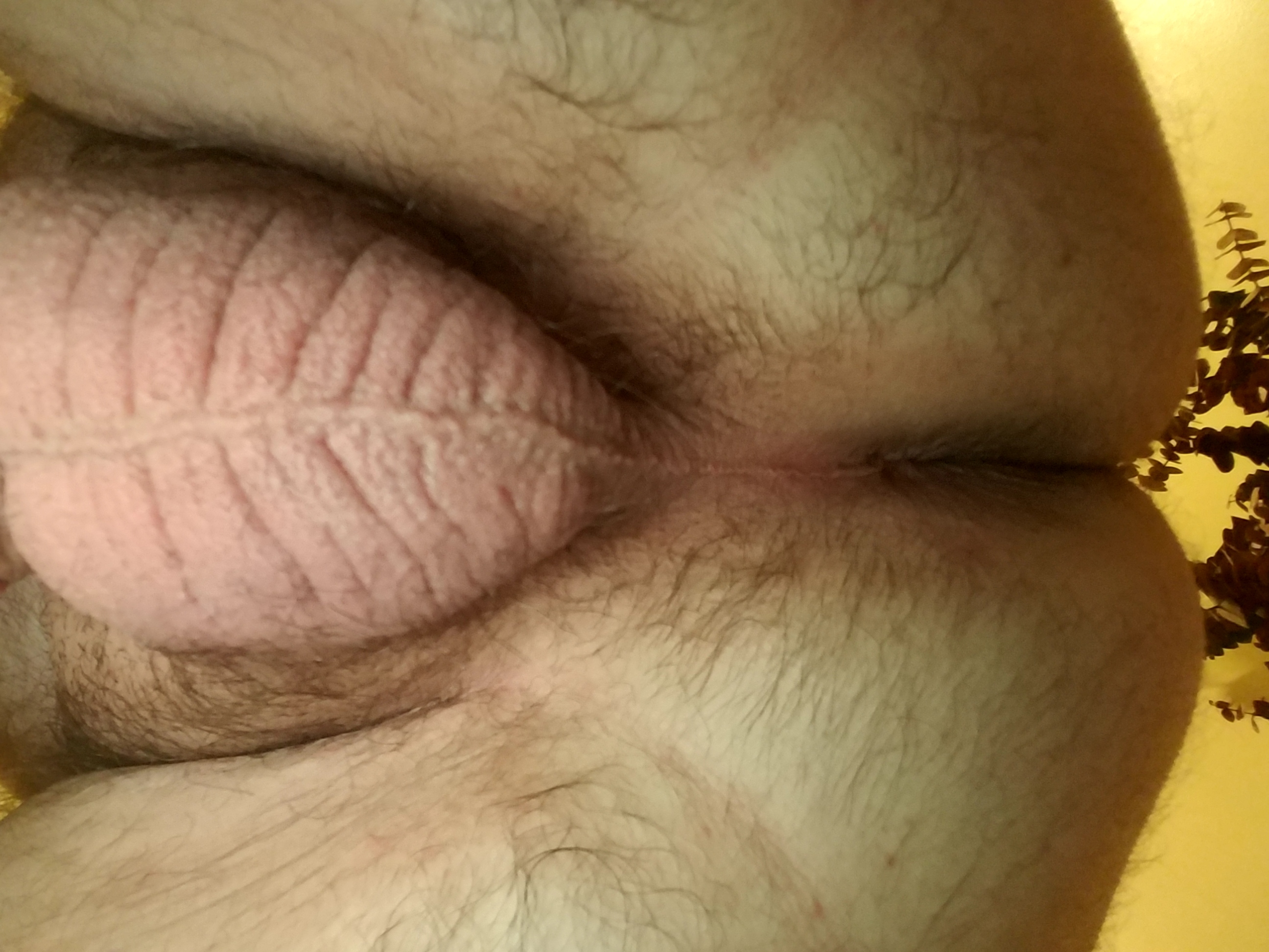 20170818_233004.jpg
