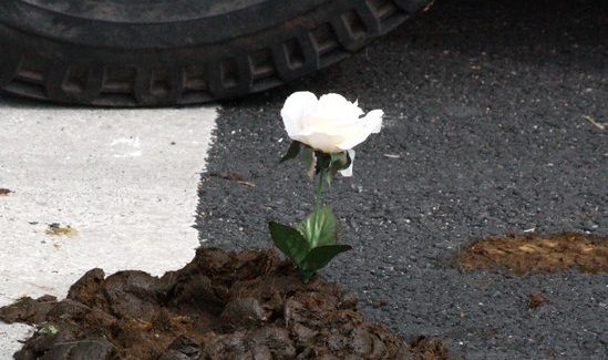 poop_flower.png
