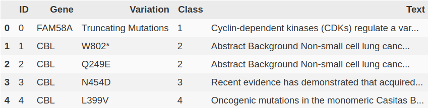 mlnd-capstone-train-df