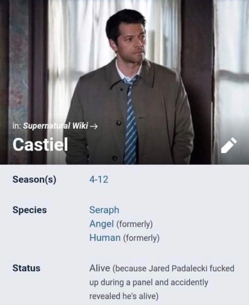 tumblr_oqgwzwtBUj1w371dbo1_500.jpg
