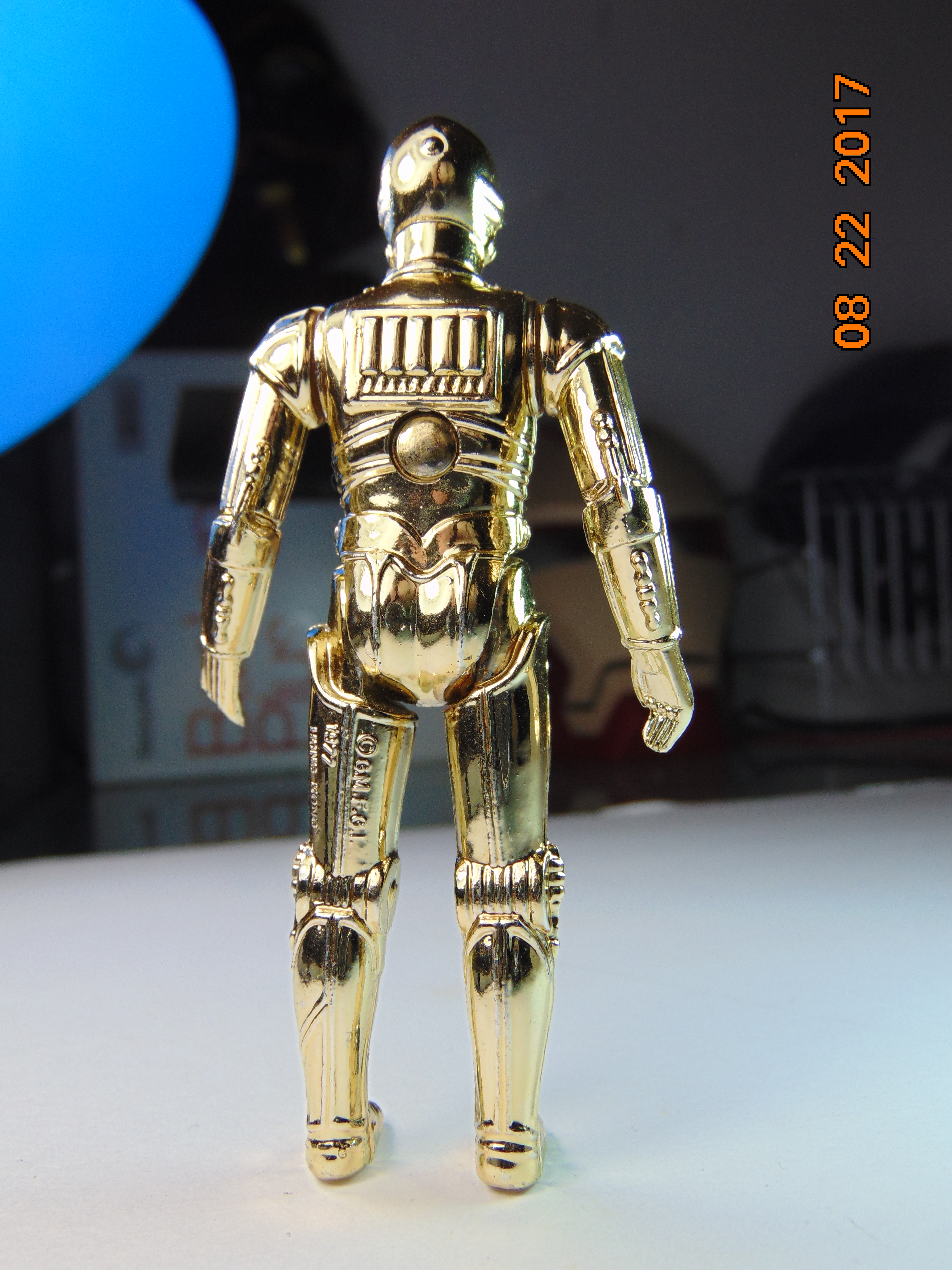 DSC01935.JPG