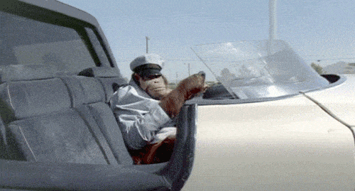 Monkey middle finger