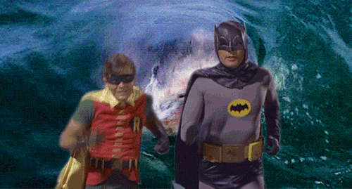 Batman shark