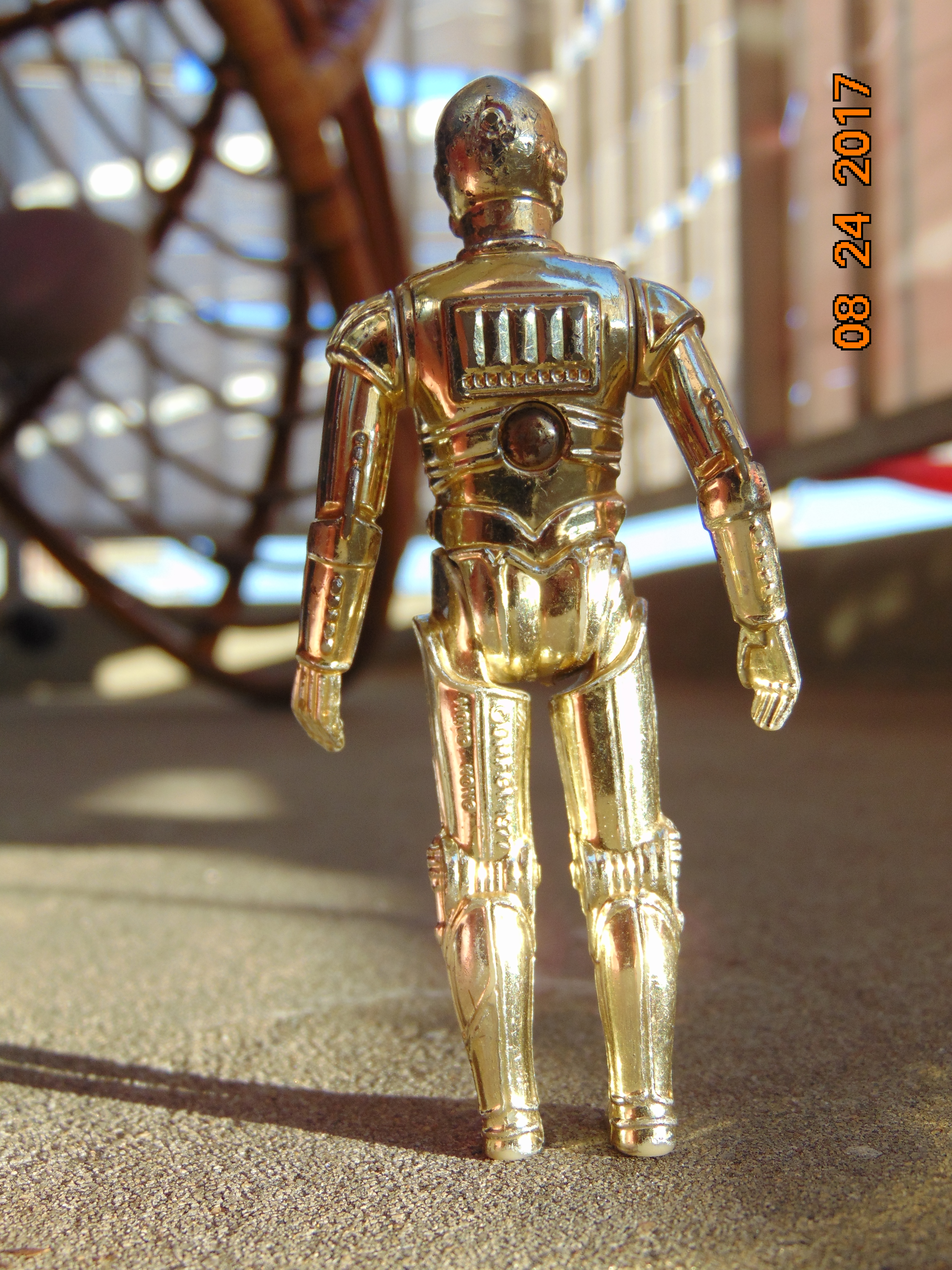 DSC01986.JPG
