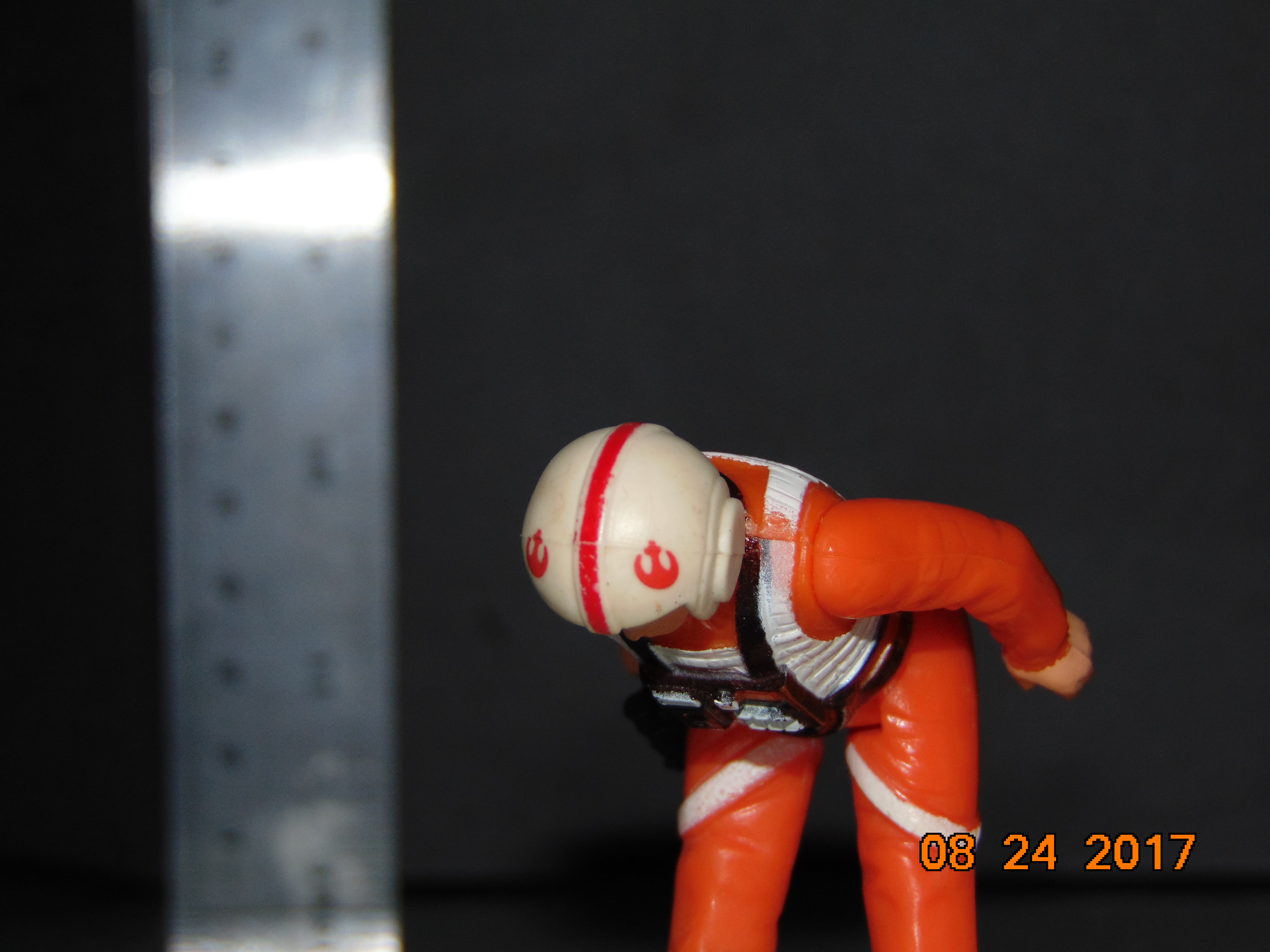 DSC02013.JPG