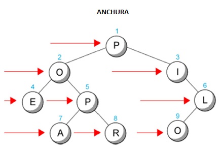 ANCHURA.jpg