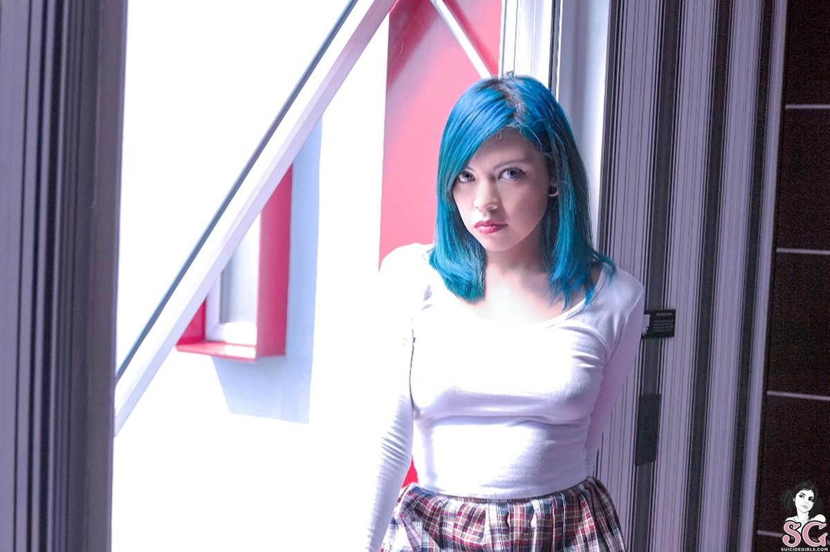 nyu-kittyblue-01.jpg