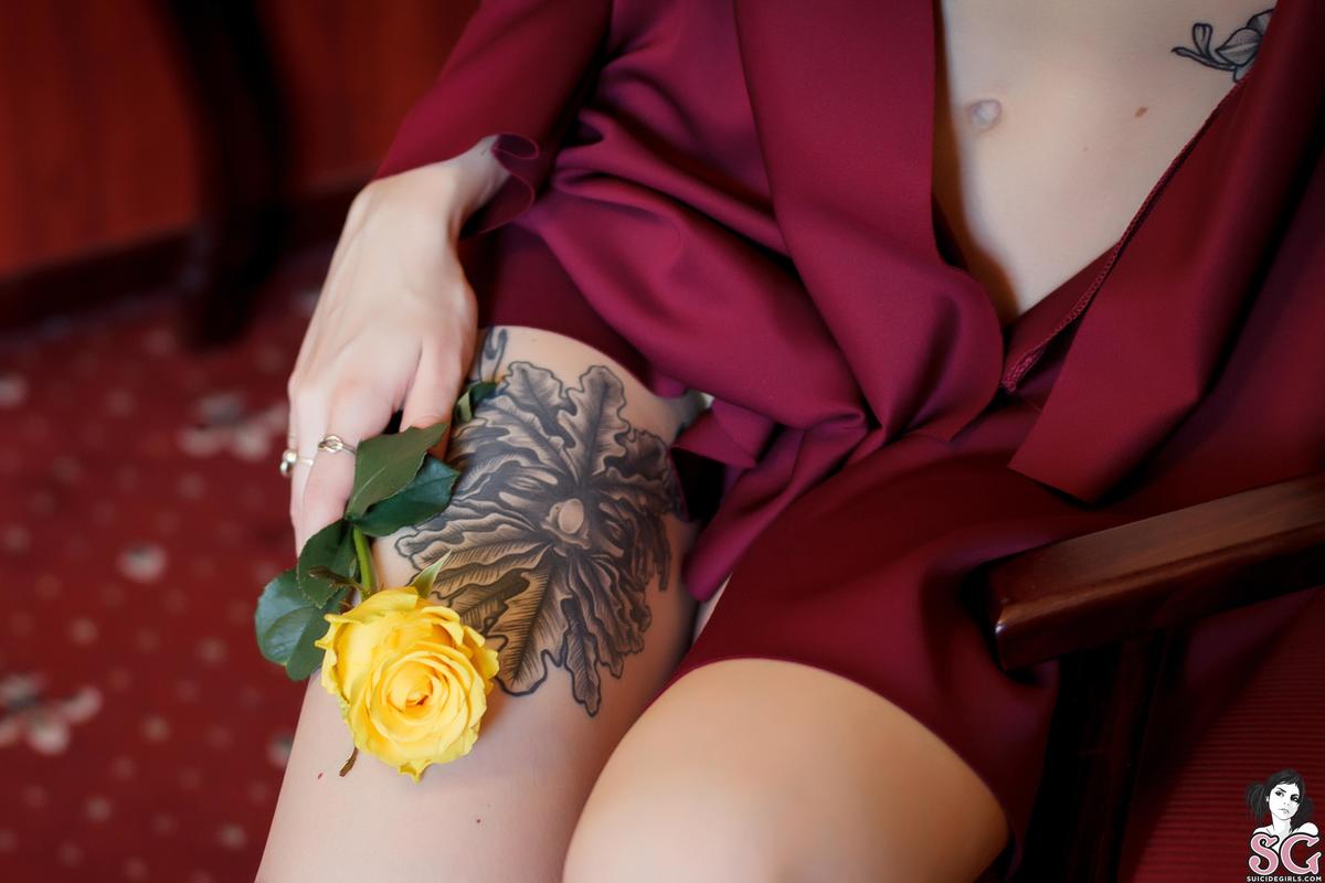 dimarti-warmfeelings-01.jpg
