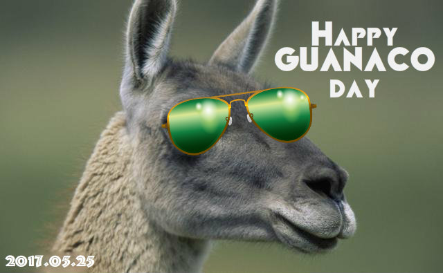 happy_guanaco_day_May_2017.jpg