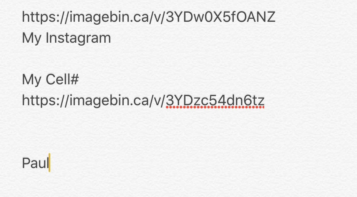 IMG_6493.PNG