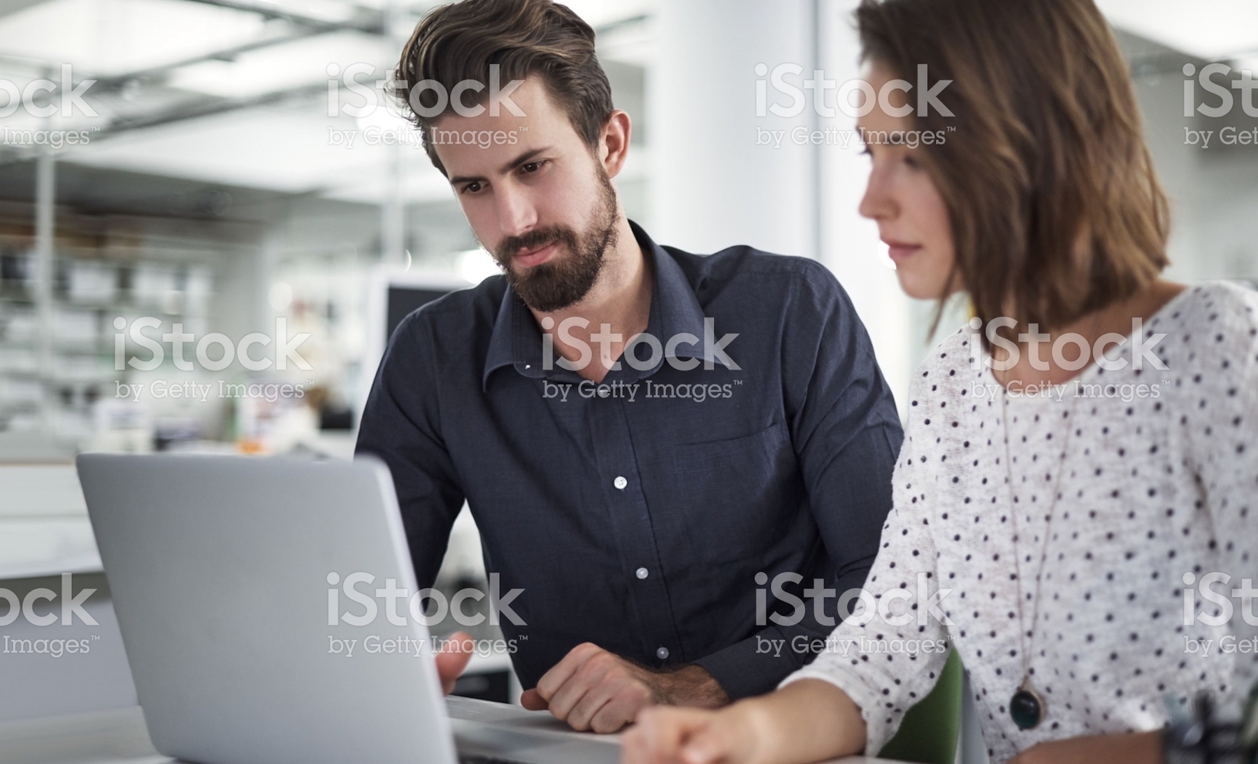 bg6_b.jpg