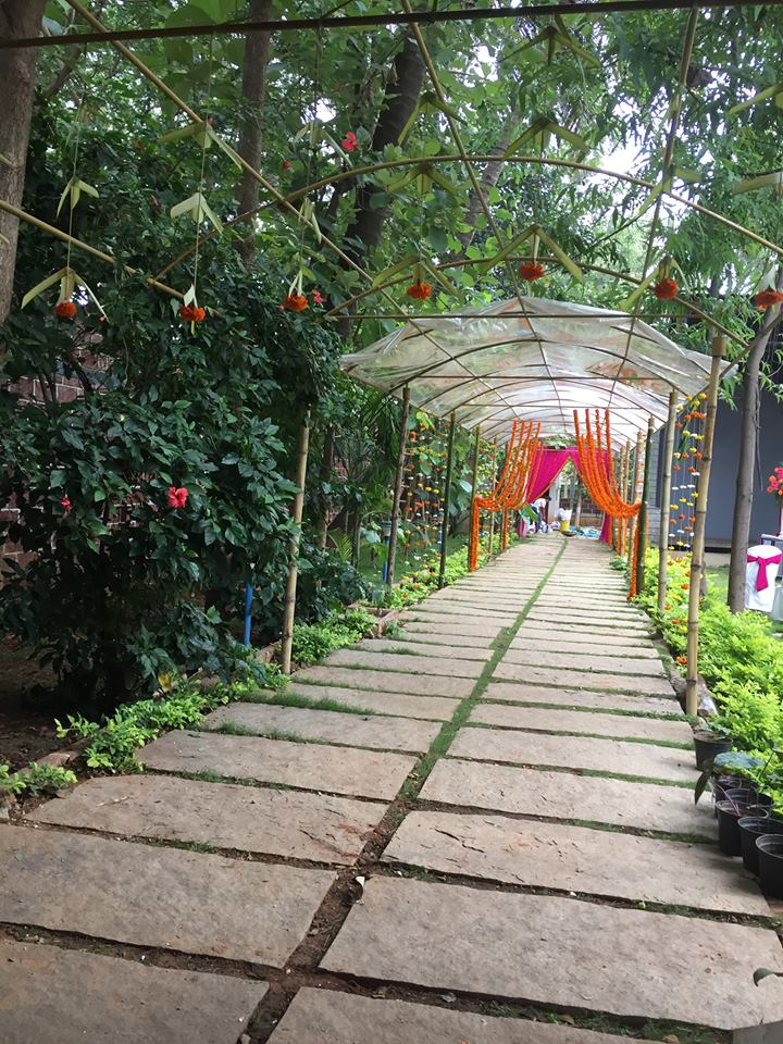 pergola.jpg