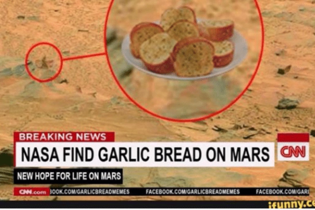 Stupid News