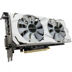 390101_big.jpg