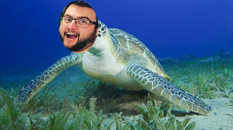 Magma_Turtle