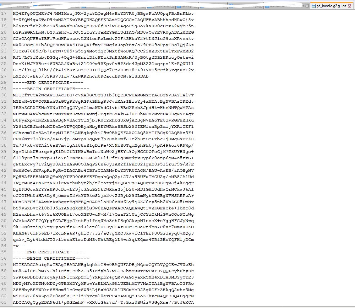 newReKeyedandissuedSSLcertficatefromgodaddyBUNDLEcrtfile.JPG