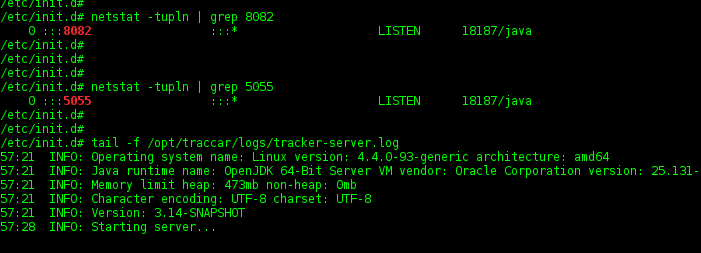 Traccar on VPS