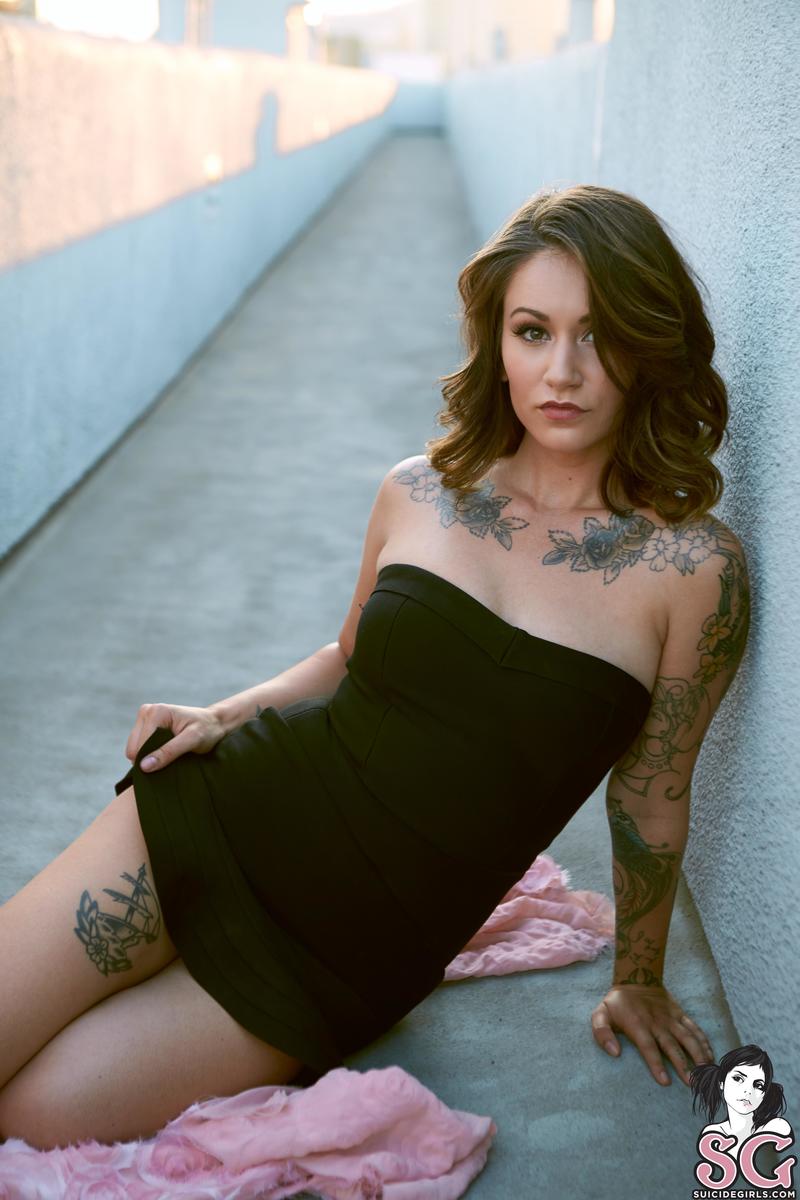 goose-duckduck-09.jpg