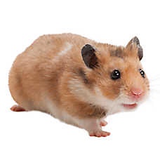 file.jpg