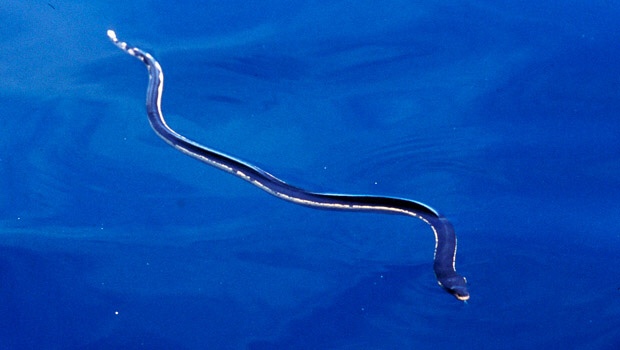 file.jpg