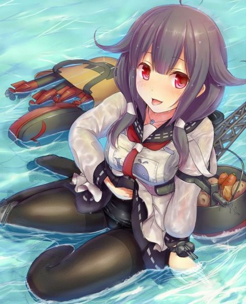 RIS.jpg