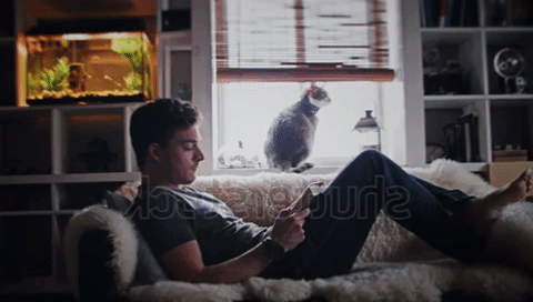 ezgif.com-rotate.gif