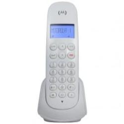 393901_big.jpg