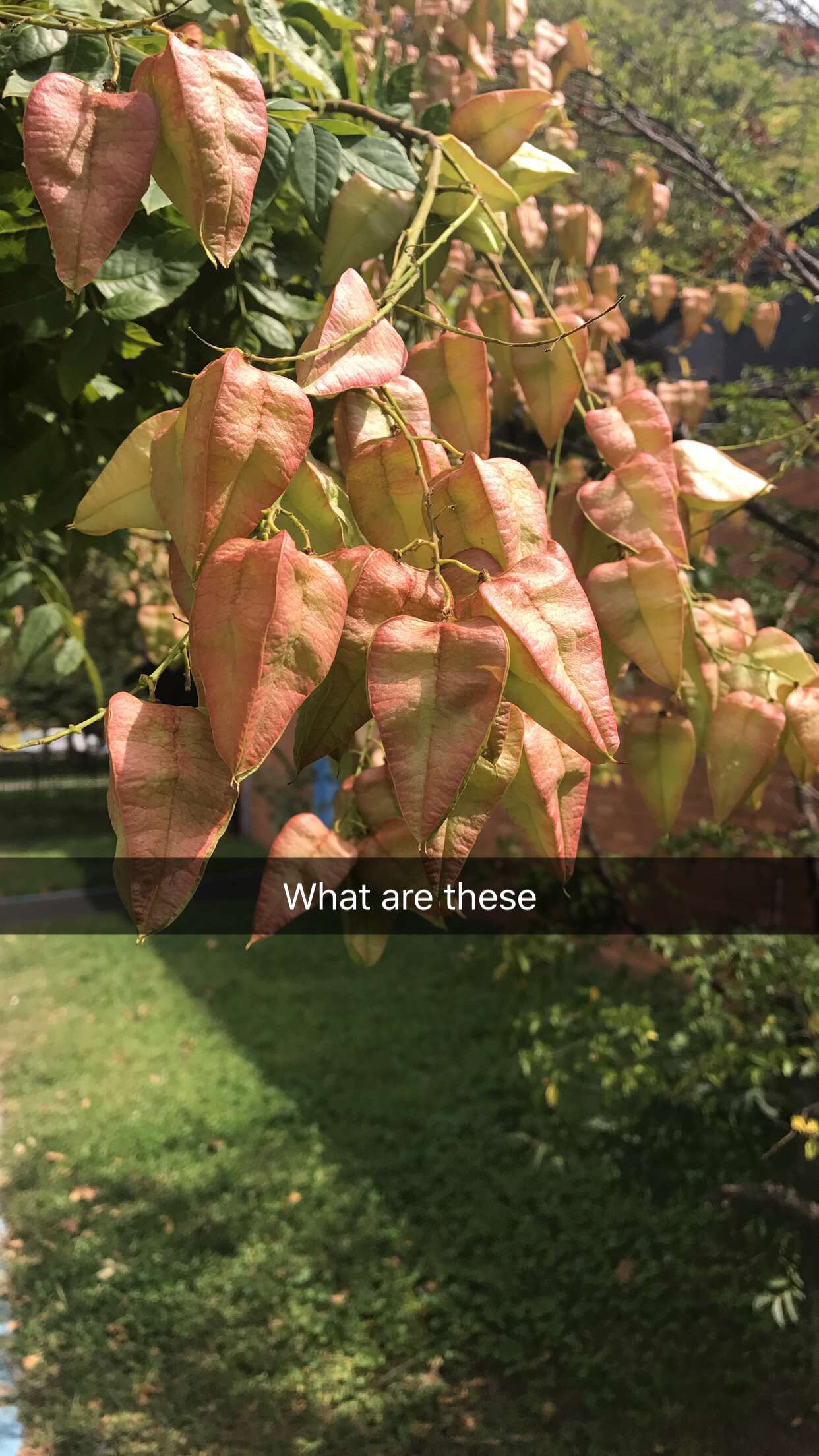 file.jpg